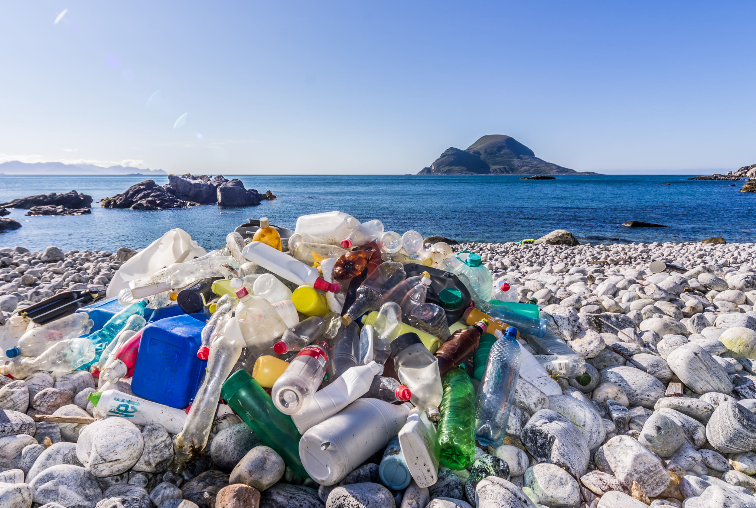 Learn About Plastic Pollution in Digestible Facts