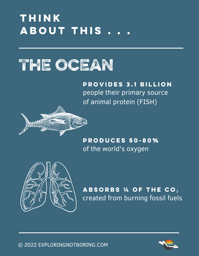 Think About This: The ocean provides 3.1 billion people their primary source of animal protein (fish), 50-80% of the world's oxygen, and absorbs a quarter of the CO₂ created from burning fossil fuels.