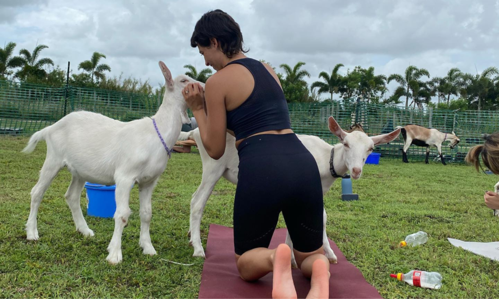 Young lady from behind touching a goats face. Another goat poking its head around her, looking at the camera. Palm trees in background. Cloudy, gray sky.