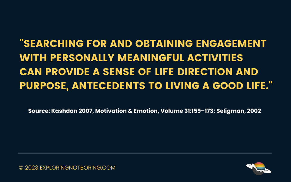 "Searching for and obtaining engagement with personally meaningful activities can provide a sense of life direction and purpose, antecedents to living a good life."
