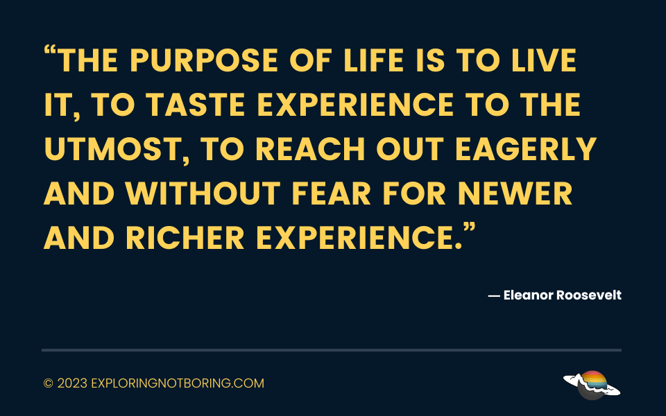 “The purpose of life is to live it, to taste experience to the utmost, to reach out eagerly and without fear for newer and richer experience.”