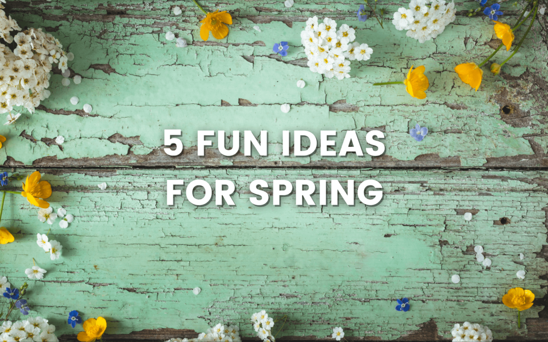 5 Fun Things to Do This Spring 🌸