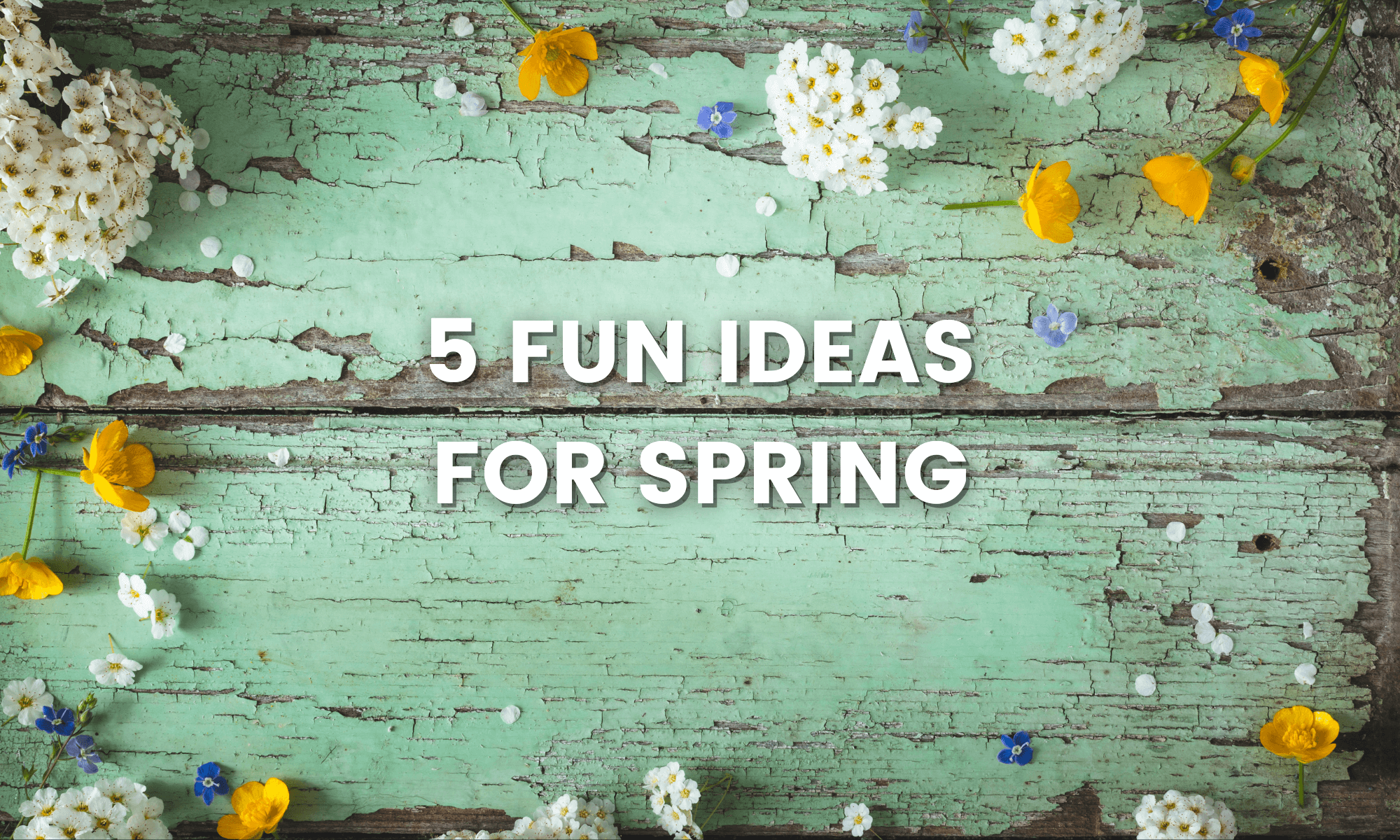5 Things to Do This Spring